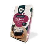 King Oyster Mushroom - Image 2