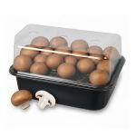 Brown Mushrooms